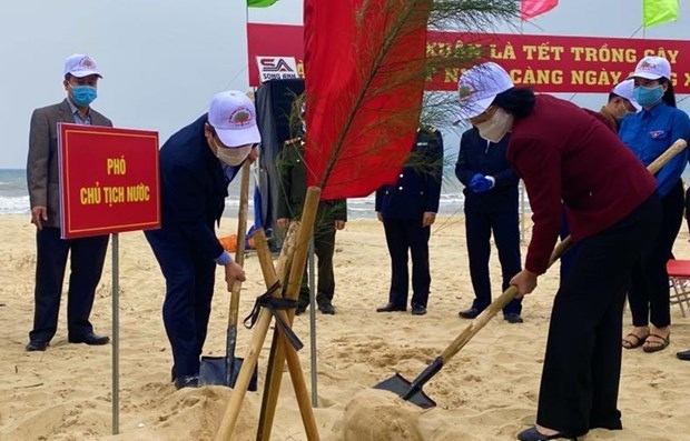 vice president joins tree-planting festival in quang binh picture 1