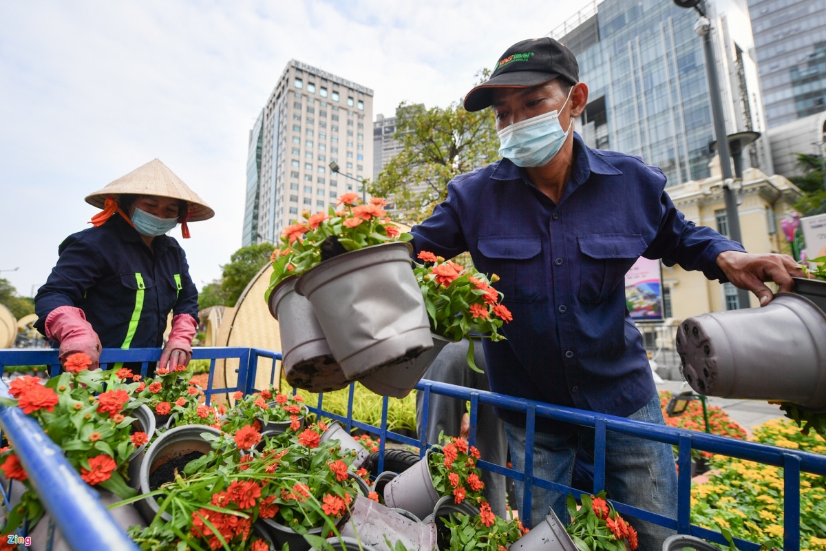 the country s largest flower street taking shape in hcm city picture 4