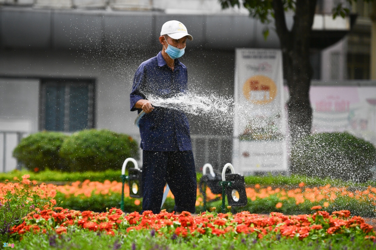 the country s largest flower street taking shape in hcm city picture 9