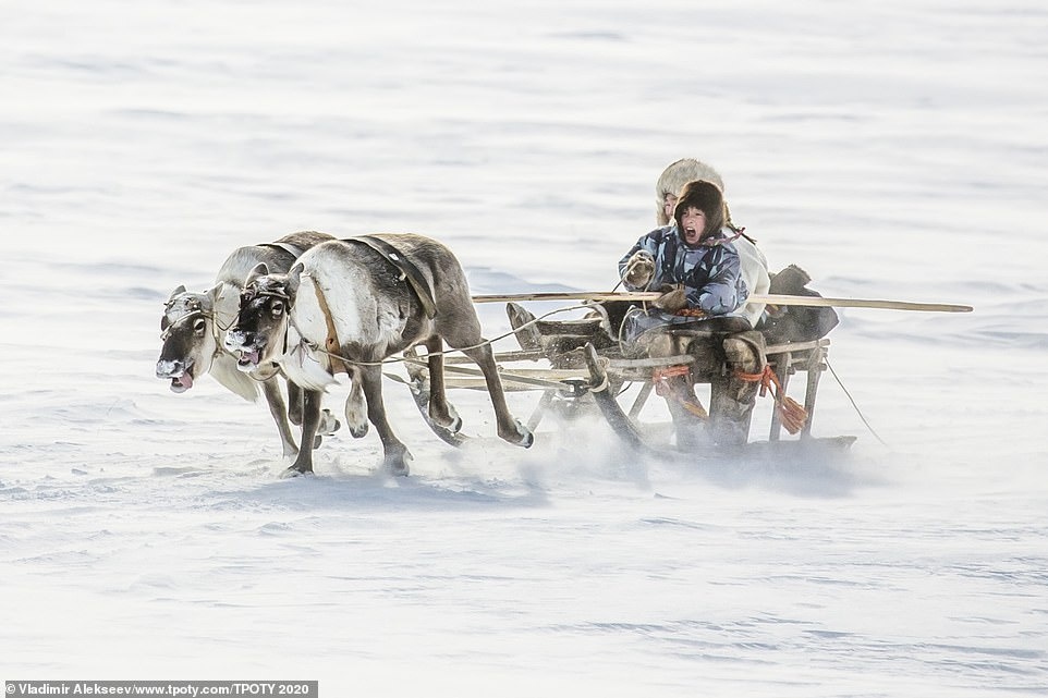 vietnamese photos honoured at travel photographer of year contest picture 9