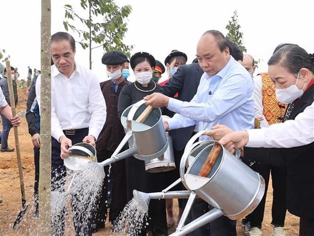 prime minister launches tree planting campaign in tuyen quang province picture 1