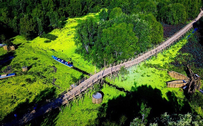 The longest record bamboo bridge in Vietnam at Tra Su Melaleuca forest.