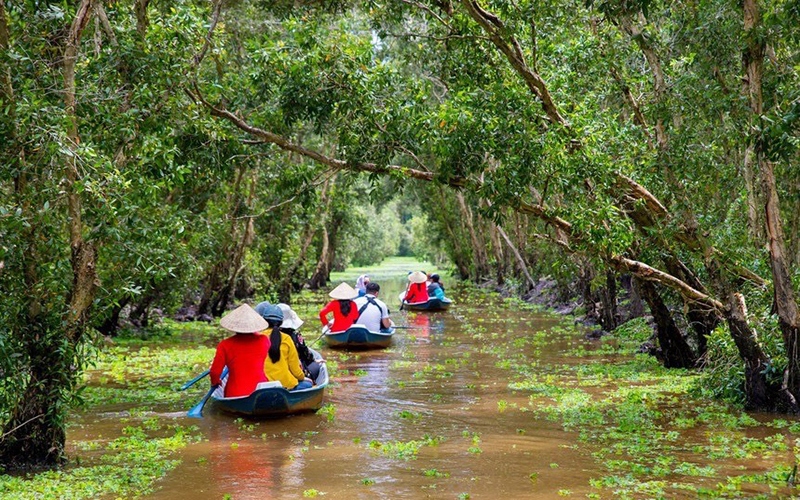 Many tourists choose to swim, canoe, explore the green Melaleuca forest.