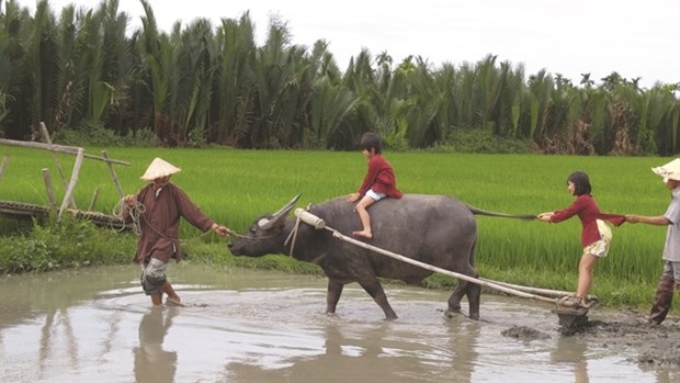 Two junior tourists enjoy riding a buffalo in Tra Que Village. (Photo courtesy of Jack Tran Tours)