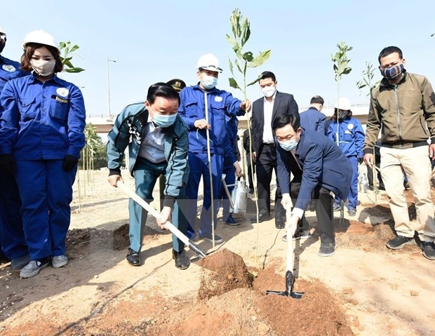 hanoi launches tree-planting festival on new year of ox picture 1
