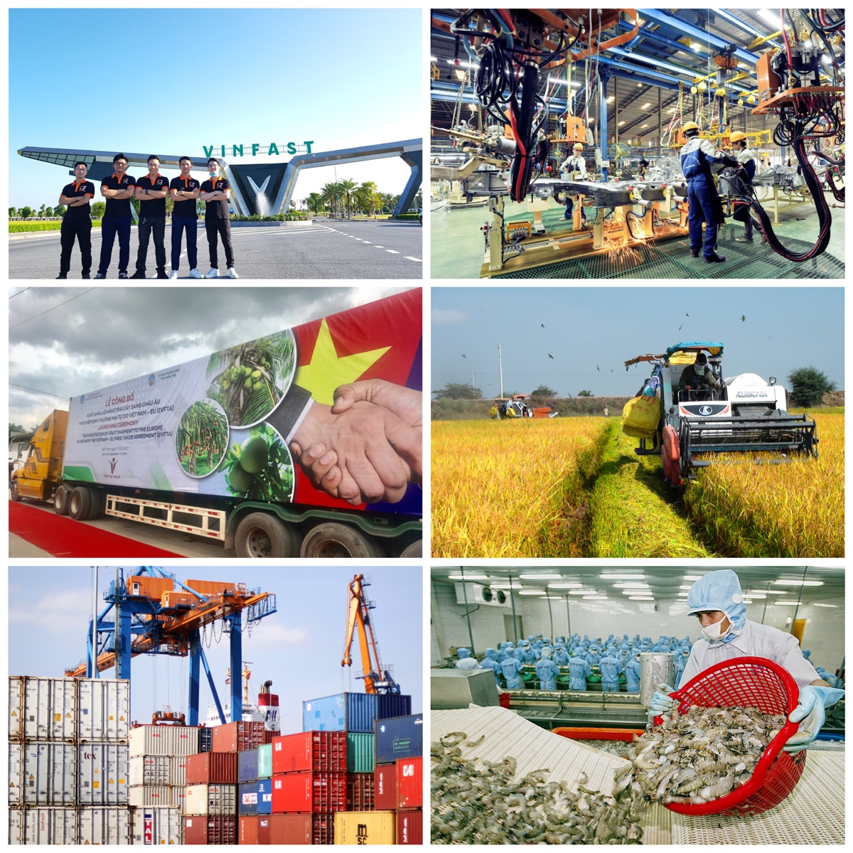turbulent year lays foundation for future vietnamese successes picture 2