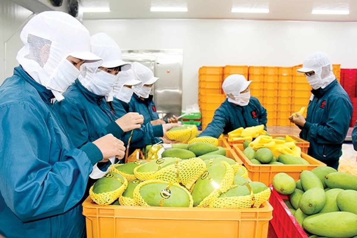 vietnam records us 589 million trade surplus with the uk picture 1