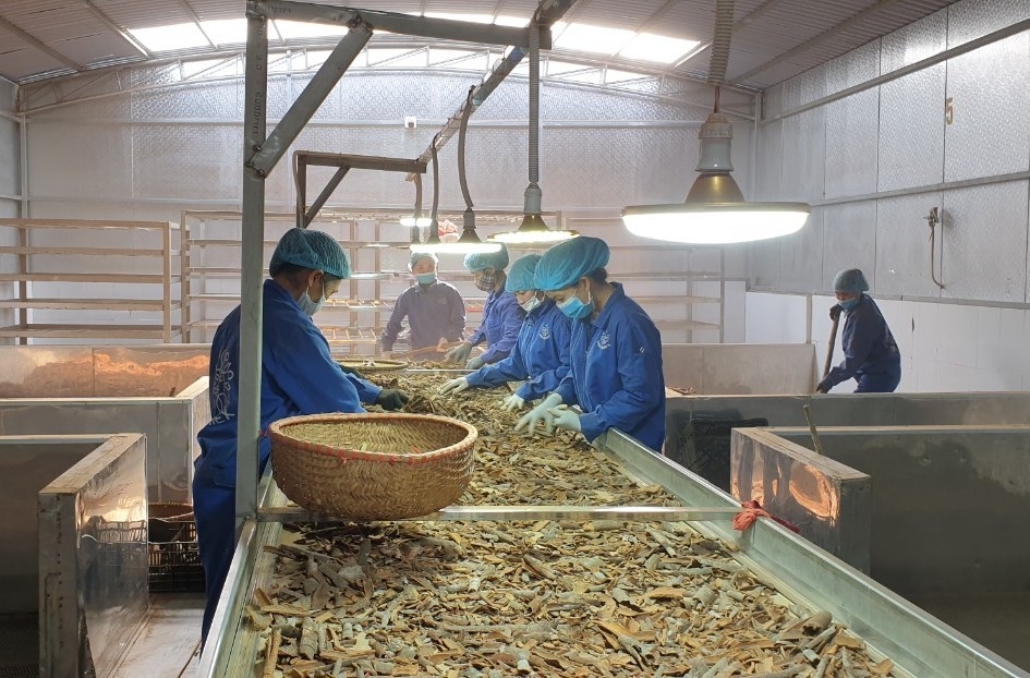 Người dân huyện nông thôn mới đầu tiên miền Tây Bắc đón Xuân no ấm