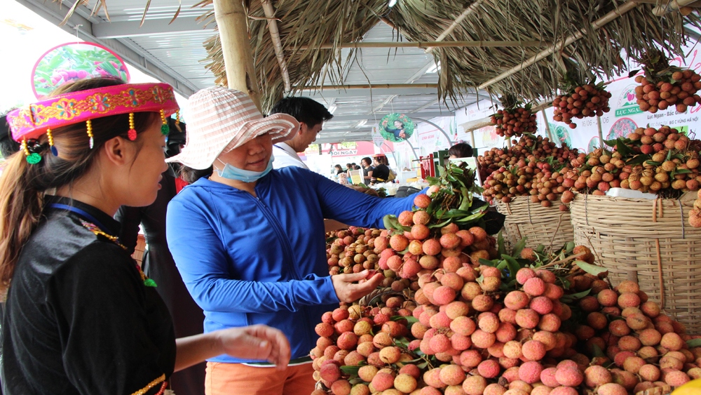 san pham dau tien cua viet nam duoc bao ho chi dan dia ly tai nhat hinh anh 1