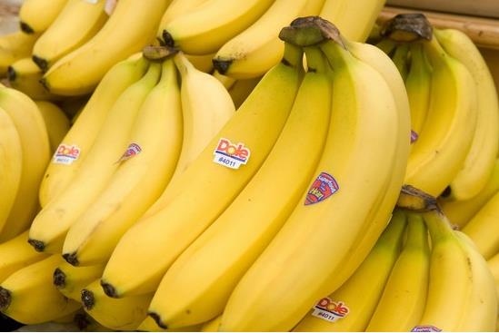 export prices of vietnamese bananas to eu market sees upturn picture 1