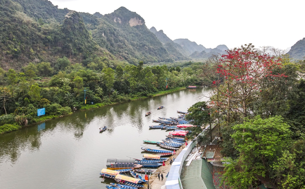 hoa gao co bung sac tai chua huong hinh anh 2