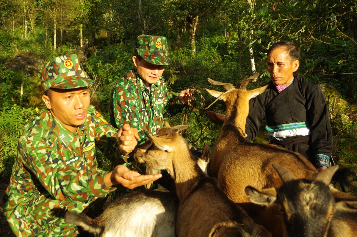 bo doi bien phong lai chau cung dan gieo nhung mua vang hinh anh 2