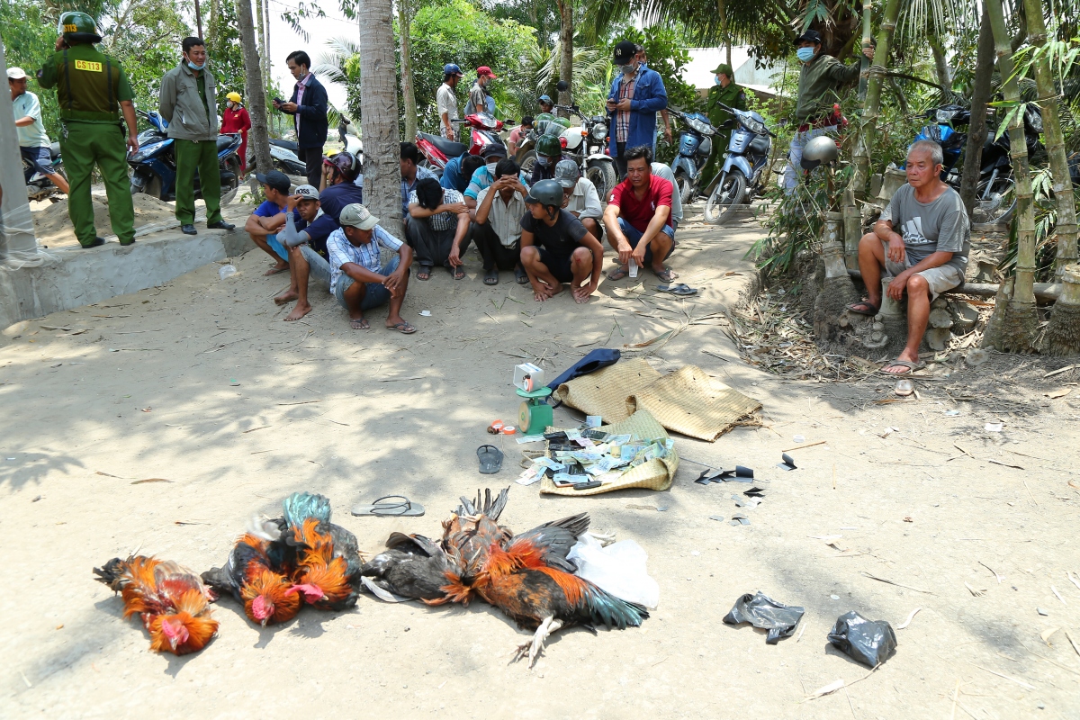 bat qua tang 16 doi tuong tham gia da ga an tien hinh anh 1