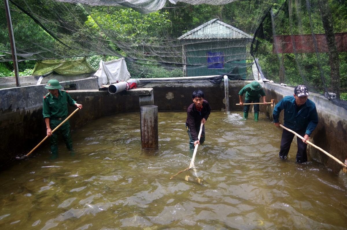 Người dân các xã biên giới Phong Thổ tham gia mô hình nuôi cá nước lạnh do Bộ Chỉ huy Biên phòng Lai Châu làm chủ...