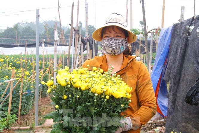 nguoi dan lang tay tuu phan khoi vi hoa khong con e am, gia tang tro lai hinh anh 3