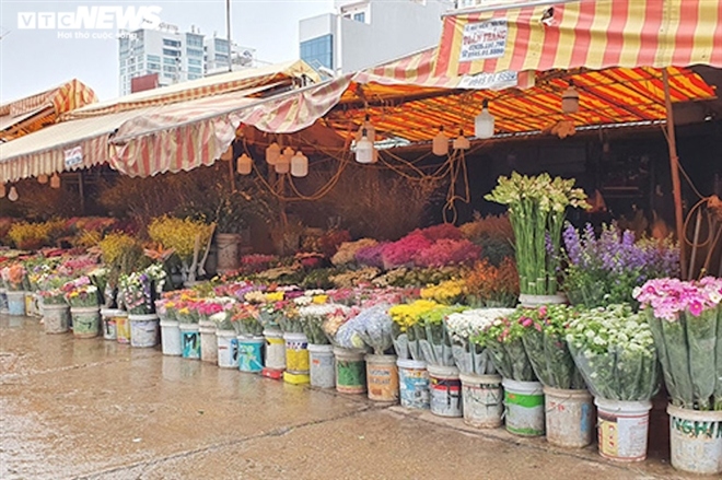 ha noi sat ngay 8 3, hoa noi dat gap doi, hoa ngoai gia tren troi van chay hang hinh anh 3