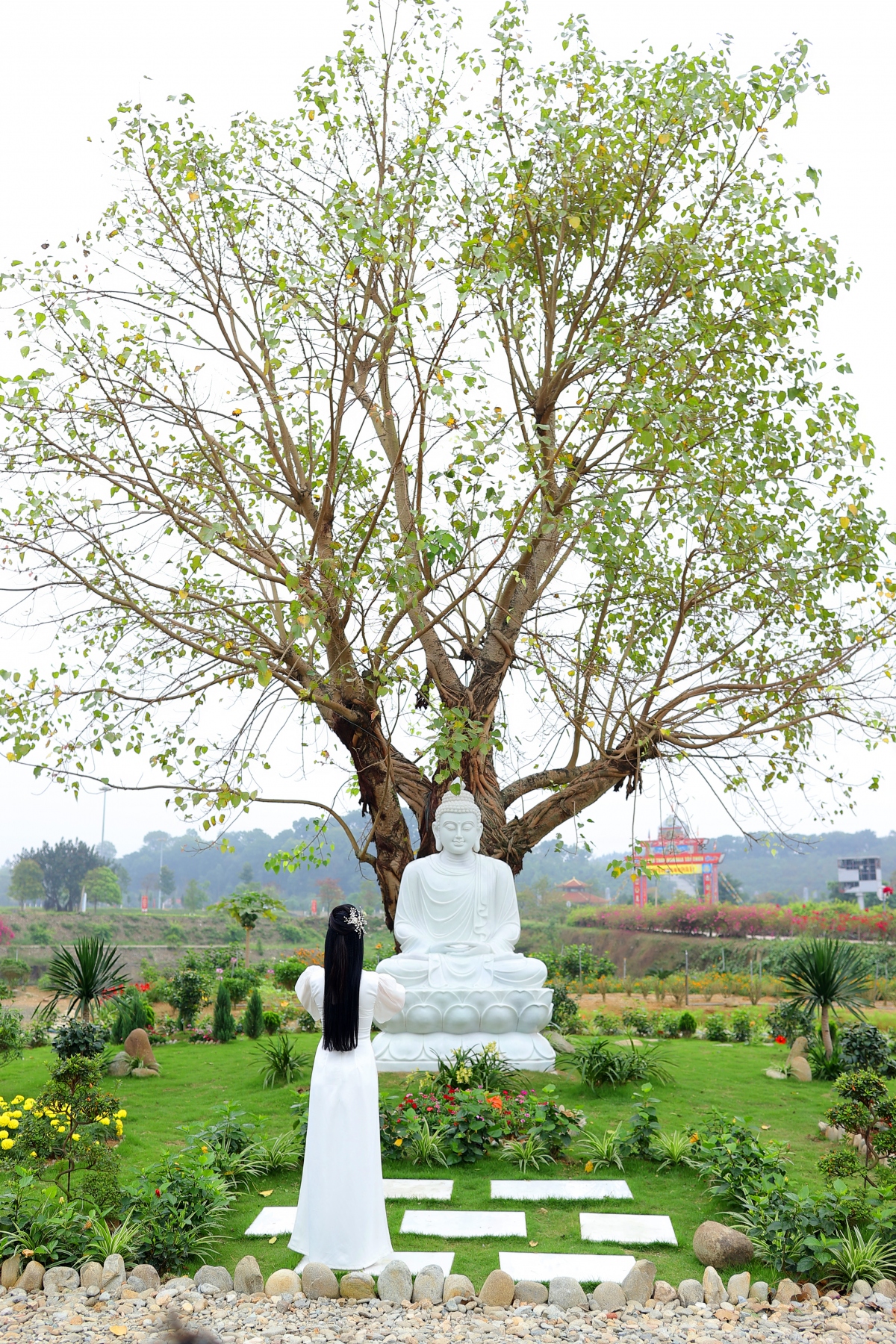  sao mai phuong nga ra mat mv quan Am me tu bi hinh anh 2