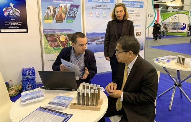 vietnam algeria senegal matchmaking seminar to take place next month picture 1 vietnam algeria senegal matchmaking seminar to take place next month picture 1