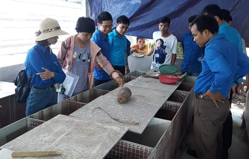 Trồng nấm, nuôi dúi giúp thanh niên Quảng Nam làm giàu