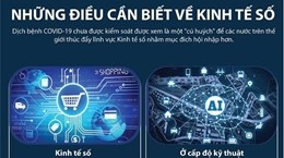 Những điều cần biết về kinh tế số thời Covid-19