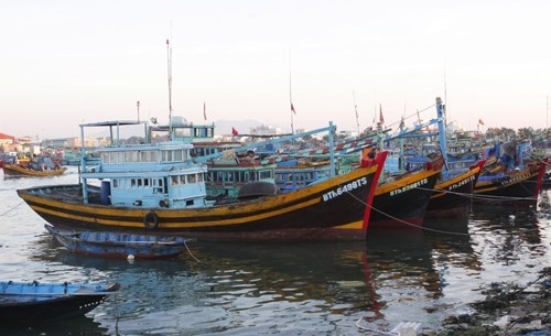 binh thuan working to tackle iuu fishing picture 1