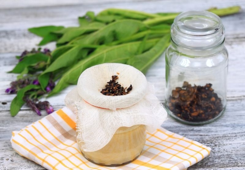 Liên mộc: Liên mộc là một loại thảo dược truyền thống, được dùng trong điều trị các vết bầm tím tại nhà. Bạn có thể chườm lạnh vết bầm bằng trà liên mộc lanh, sau đó tiếp tục quá trình hồi phục bằng trà nóng.