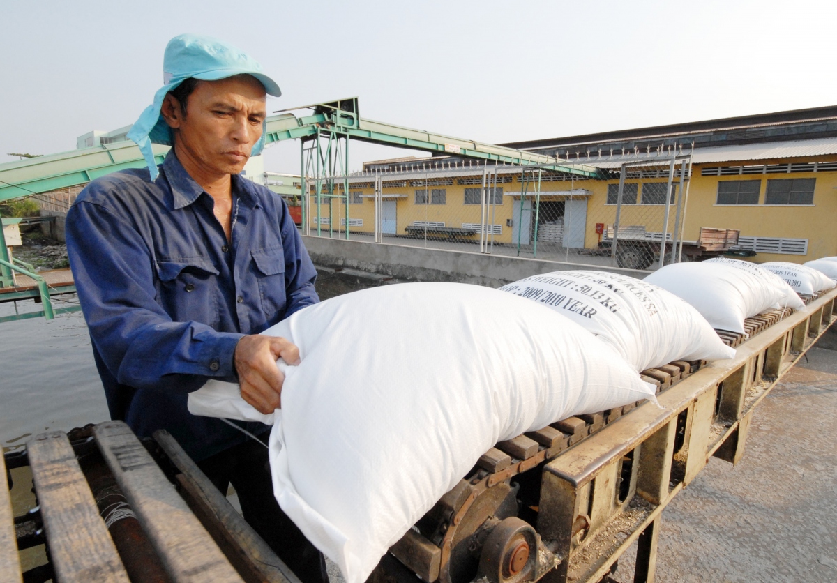 vietnamese rice records new price peak picture 1