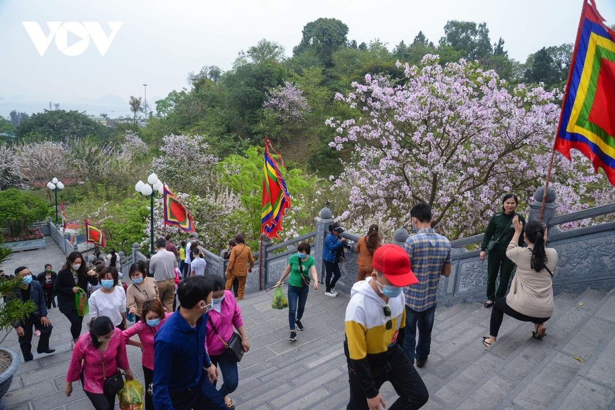 cua ong temple festival draws visitors in post-covid-19 period picture 4