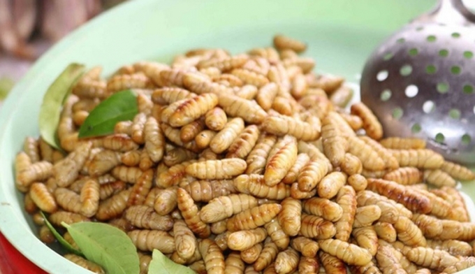 vietnam granted permission to export edible insects to eu picture 1