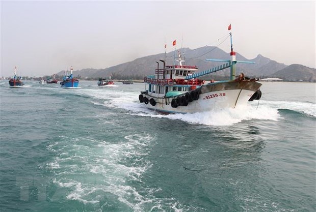 vietnam making every effort to fight iuu fishing picture 1