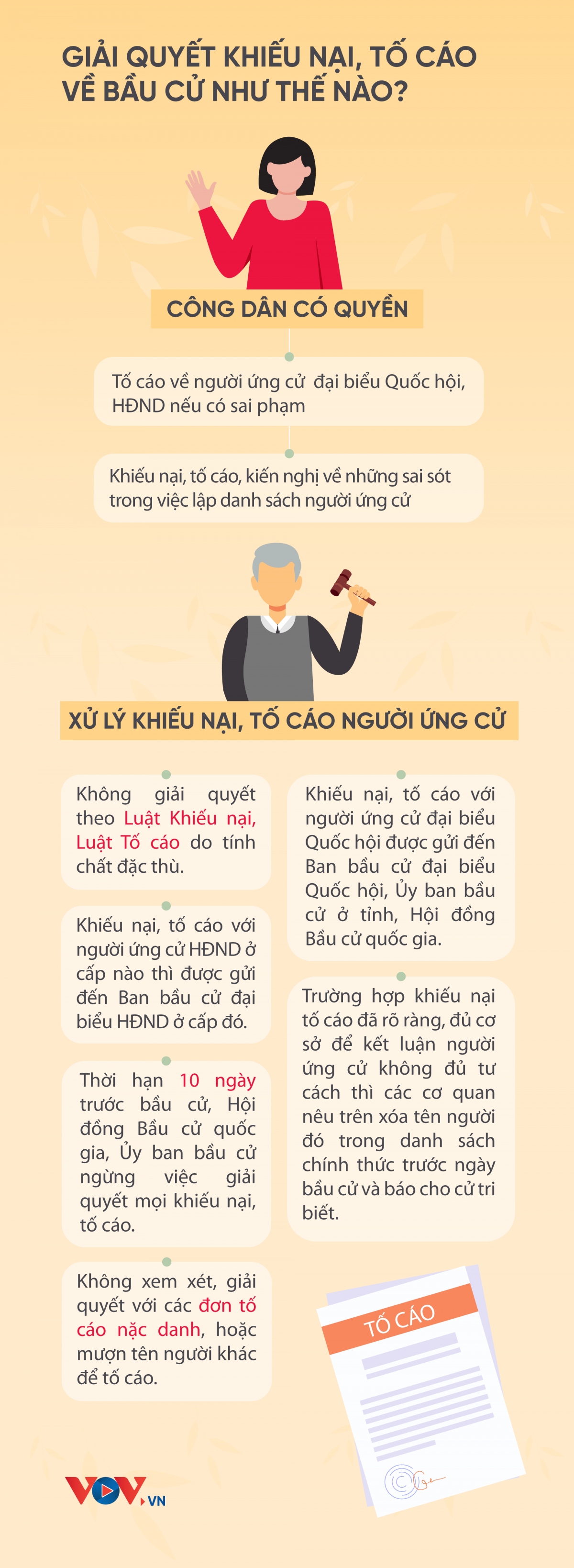 giai quyet khieu nai, to cao ve bau cu nhu the nao hinh anh 1