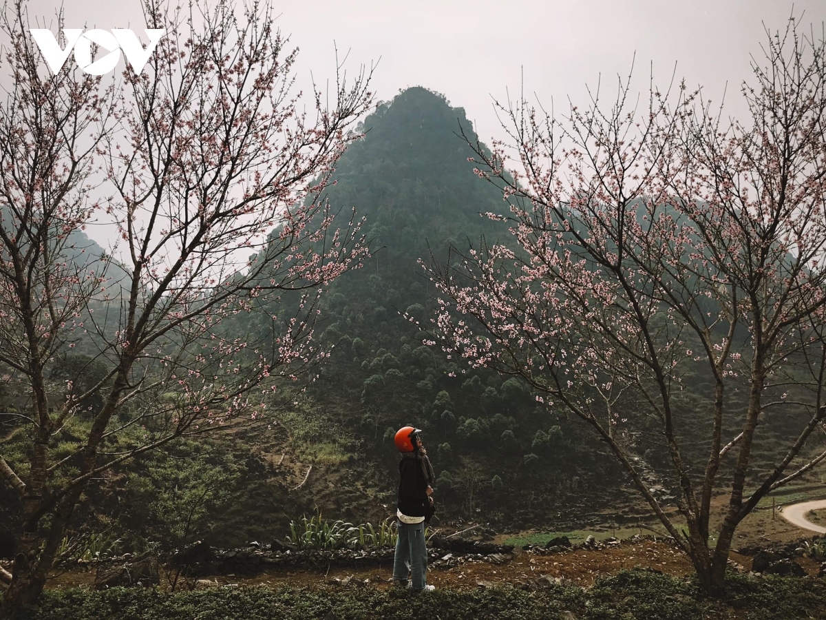 stunning images showcases beautiful sights of ha giang province picture 1