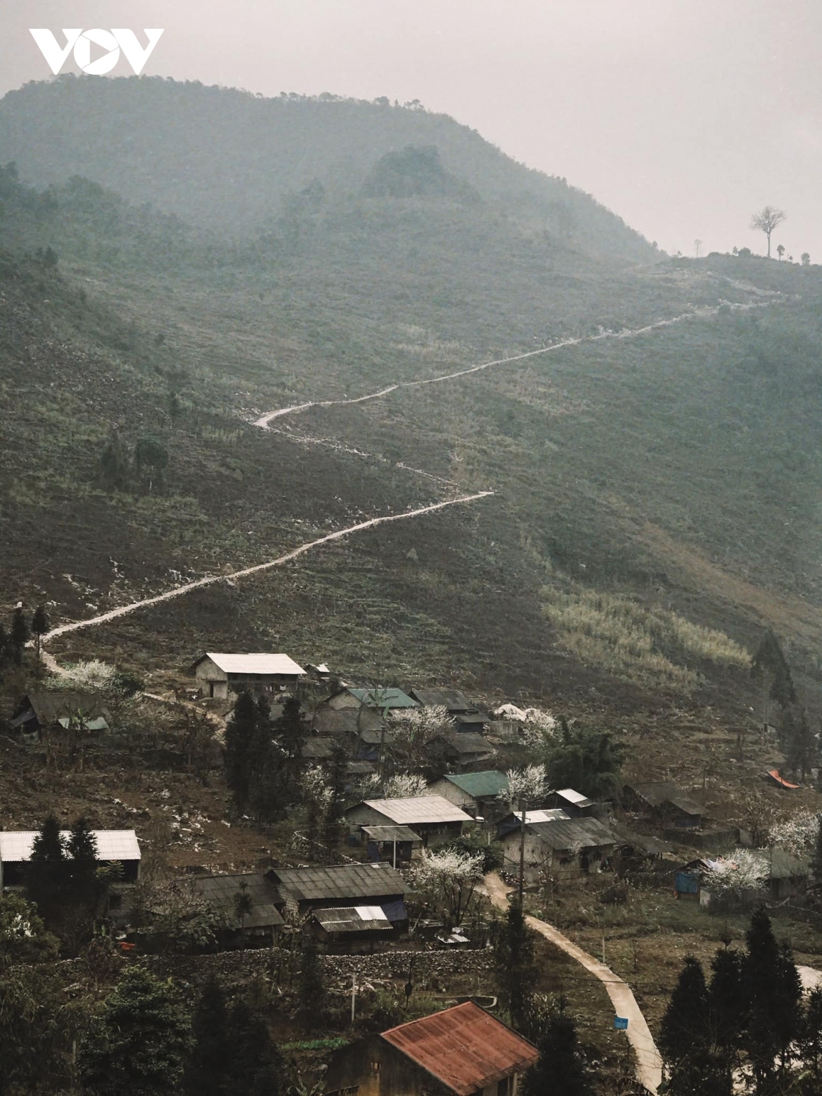 stunning images showcases beautiful sights of ha giang province picture 11