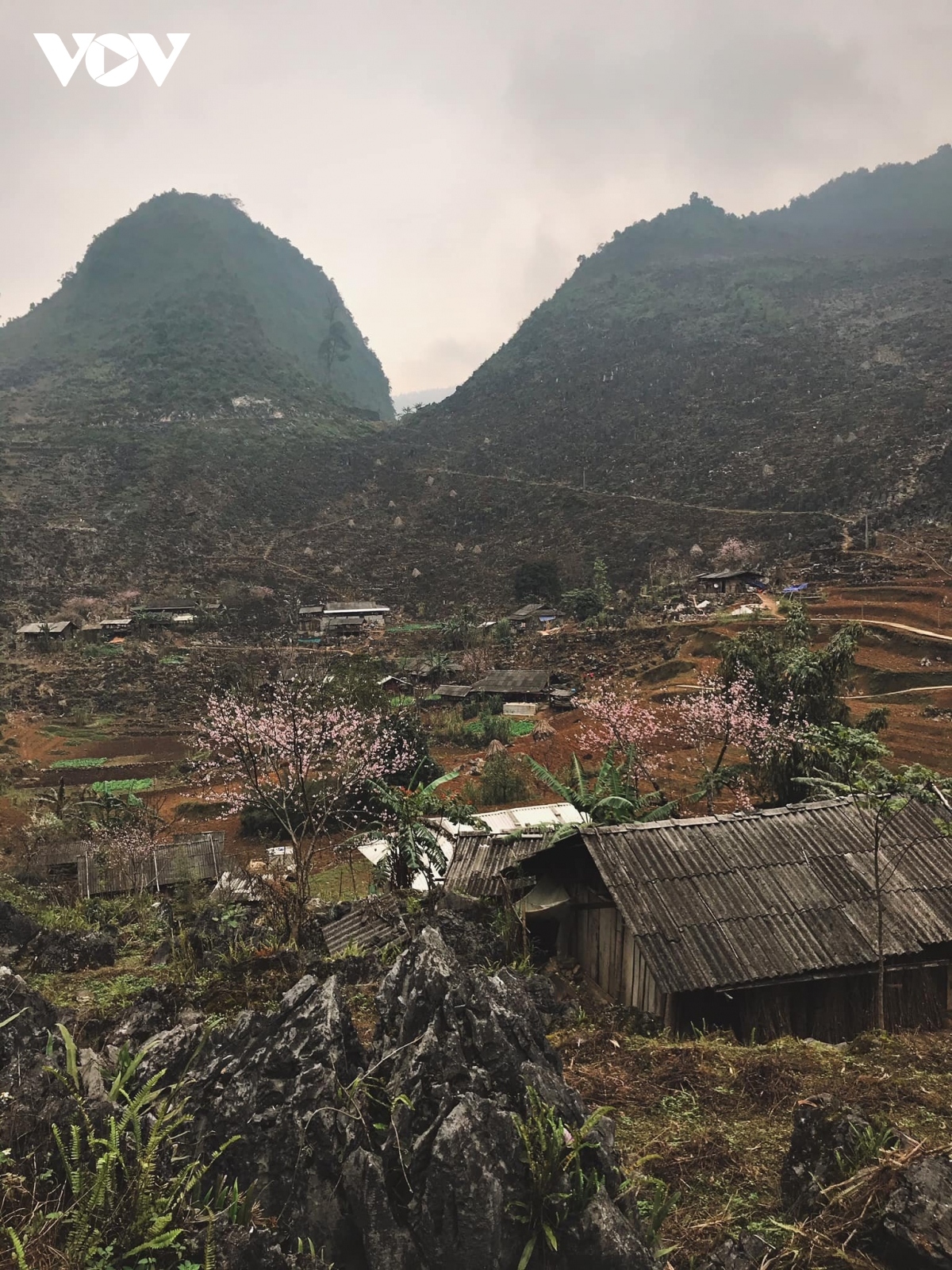 stunning images showcases beautiful sights of ha giang province picture 4