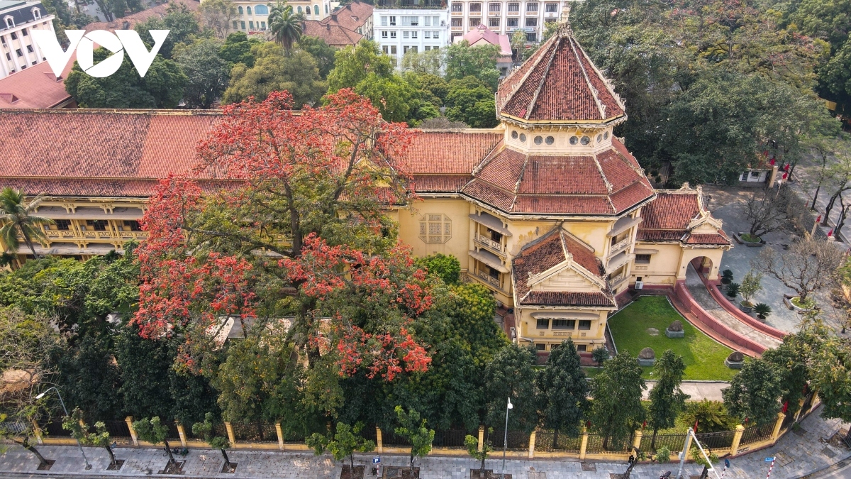 bombax ceiba blossoms come out throughout hanoi in march picture 1