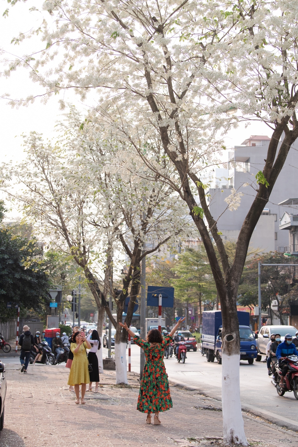 A group of locals snap lovely photos besides Hoa Sua on Kim Ma street.