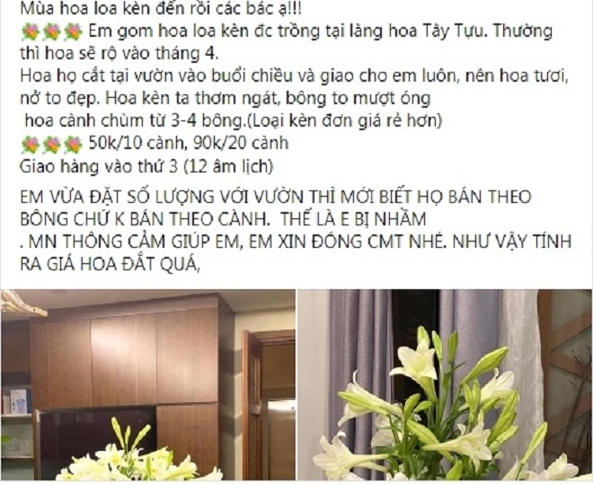 hoa loa ken dau mua vua dat vua hiem, chi em ha noi van toi tap lung mua hinh anh 1