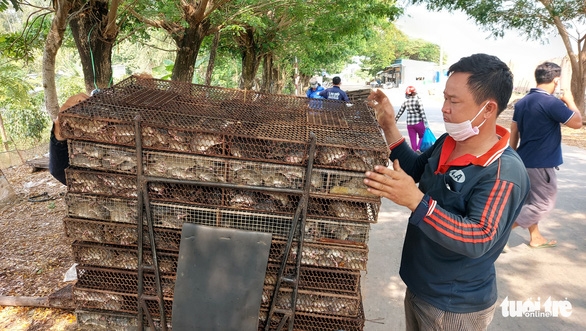 Nhộn nhịp chợ chuột đồng nơi biên giới: Mua bao nhiêu bán hết bấy nhiêu