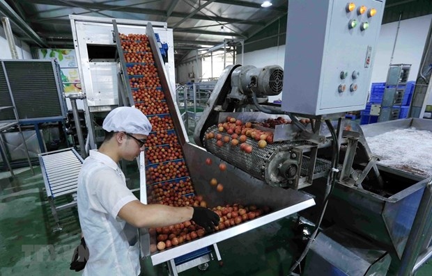 vietnam targets us 10 billion from fruit, vegetable exports by 2030 picture 1