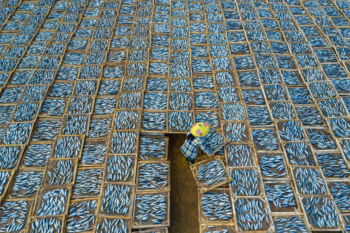 A photograph captured by a local photographer themed “Drying Fish” features a lone woman surrounded by hundreds of trays containing drying fish in the Long Hai fish market in the southern province of Ba Ria-Vung Tau. With the image taken from above, the pattern of the fish on the trays resembles a large piece of fabric that the woman has seemingly put together.