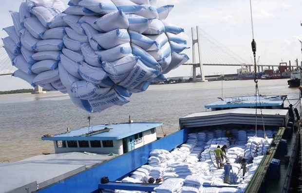 rice exports to see bright outlook this year picture 1