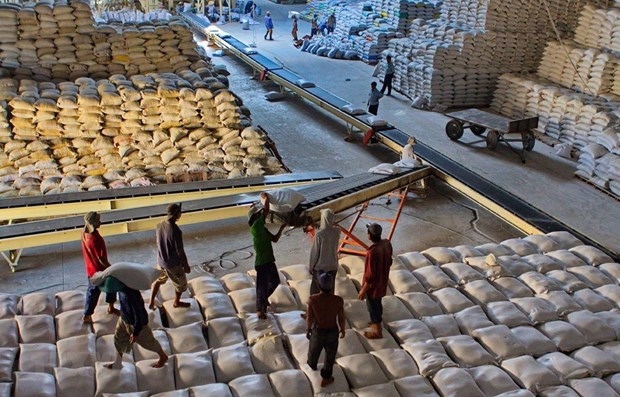 vietnam ships 638,000 tonnes of rice abroad in jan-feb picture 1