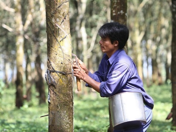 rubber companies set lower profit targets for 2021 picture 1