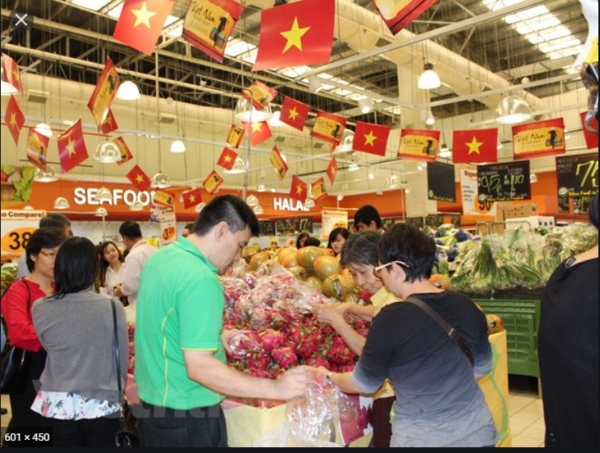 vietnamese firms advised to promote online sale in singapore picture 1
