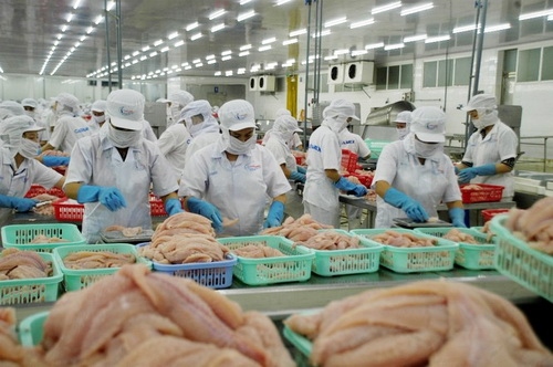 pangasius exports to china suffer sharp drop picture 1