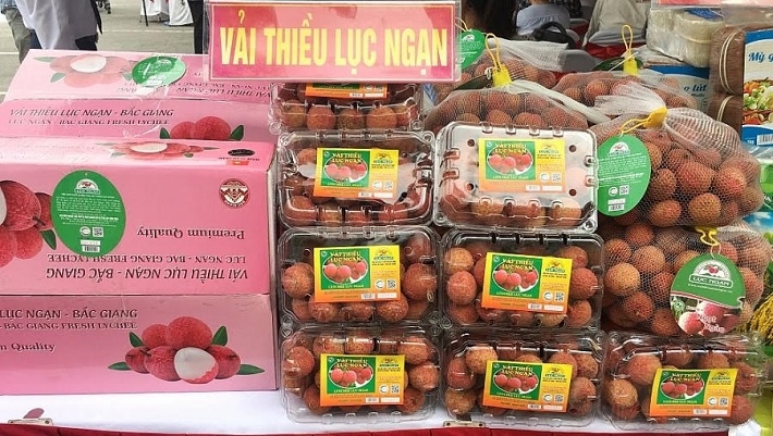 japan grants gi certification to vietnamese lychee picture 1