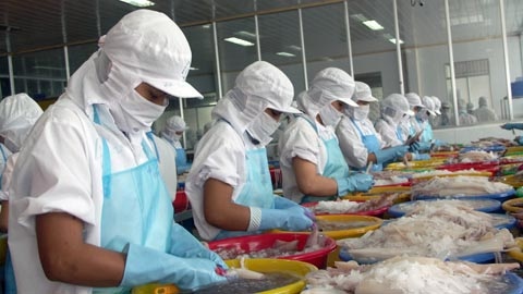 evfta adds fresh impetus to seafood exports to eu market picture 1