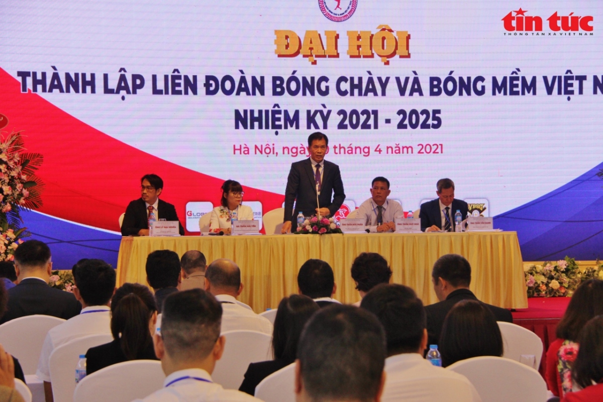 vietnam baseball - softball federation elects first head picture 1