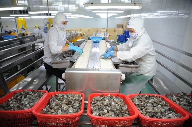 mekong delta provinces shrimp exports to eu market skyrocket in q1 picture 1