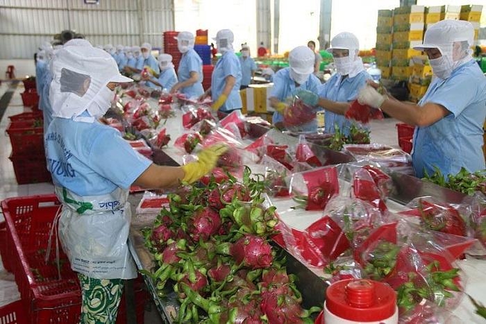 Workshop examines export opportunities for farm produce post COVID-19